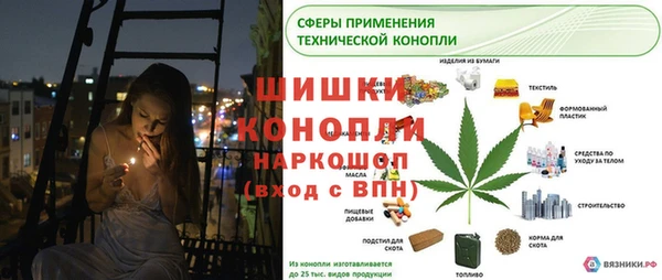 метадон Вяземский