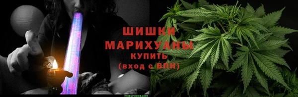 метадон Вяземский