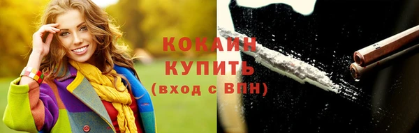 прущие грибы Волоколамск