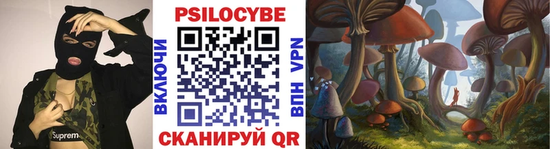 где найти   Электроугли  Псилоцибиновые грибы прущие грибы 